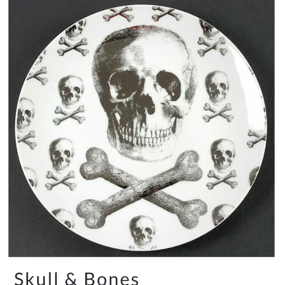 Skull & Bonesby Z GALLERIE